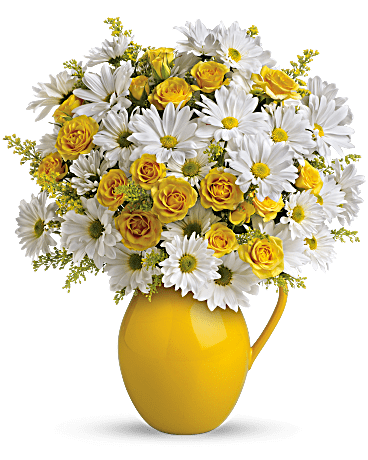 Multi-Colored | Sunny Day Pitcher Of Daisies Bouquet | Same Day Flower Delivery by Teleflora