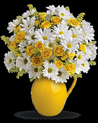 Multi-Colored | Sunny Day Pitcher Of Daisies Bouquet | Same Day Flower Delivery by Teleflora