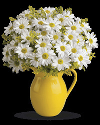 Multi-Colored | Sunny Day Pitcher Of Daisies Bouquet | Same Day Flower Delivery by Teleflora