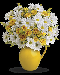 Multi-Colored | Sunny Day Pitcher Of Daisies Bouquet | Same Day Flower Delivery by Teleflora