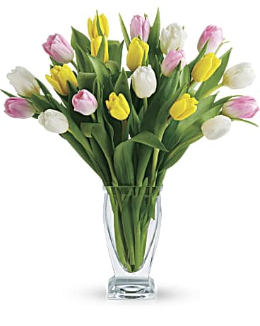 Multi-Colored | Tulips | Tulip Treasure | Same Day Flower Delivery by Teleflora