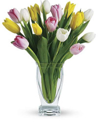 Multi-Colored | Tulips | Tulip Treasure | Same Day Flower Delivery by Teleflora