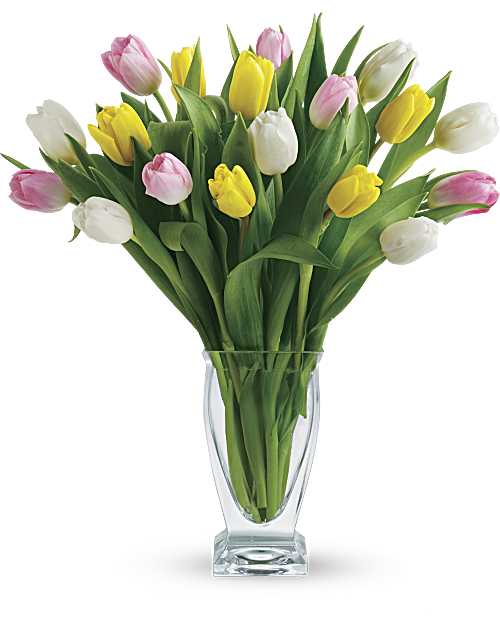 Multi-Colored | Tulips | Tulip Treasure | Same Day Flower Delivery by Teleflora
