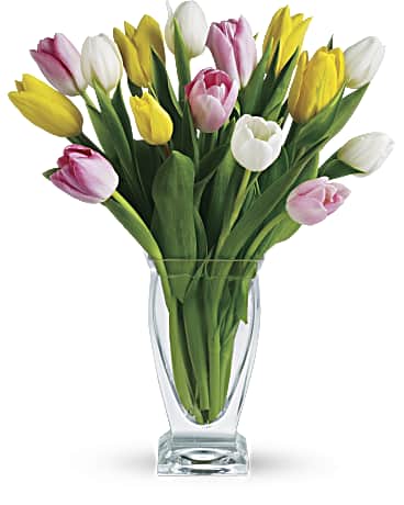 Multi-Colored | Tulips | Tulip Treasure | Same Day Flower Delivery by Teleflora