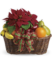 Orange | Mixed Bouquets | Fruit And Poinsettia Basket | Same Day Flower Delivery by Teleflora