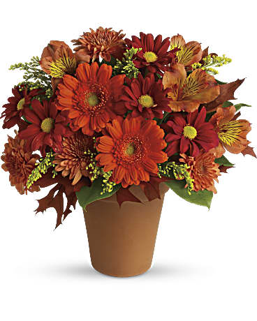 Orange | Mixed Bouquets | Golden Glow | Same Day Flower Delivery by Teleflora
