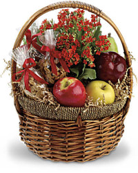 Orange | Mixed Bouquets | Health Nut Basket | Same Day Flower Delivery by Teleflora