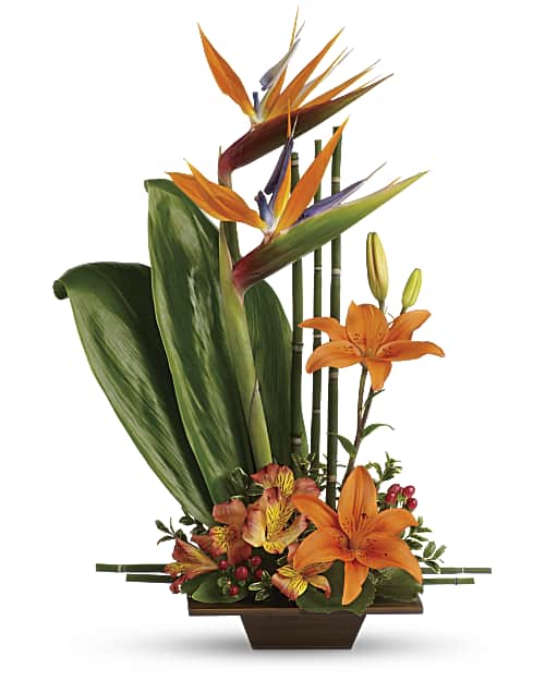 Orange | Mixed Bouquets | Exotic Grace Bouquet | Same Day Flower Delivery by Teleflora