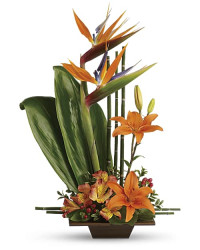 Orange | Mixed Bouquets | Exotic Grace Bouquet | Same Day Flower Delivery by Teleflora