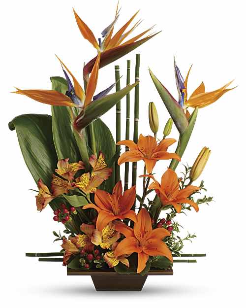 Orange | Mixed Bouquets | Exotic Grace Bouquet | Same Day Flower Delivery by Teleflora