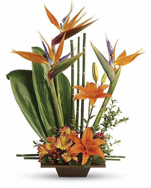 Orange | Mixed Bouquets | Exotic Grace Bouquet | Same Day Flower Delivery by Teleflora