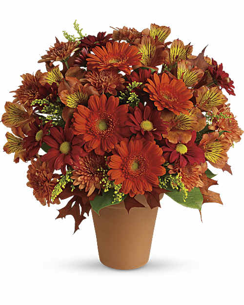 Orange | Mixed Bouquets | Golden Glow | Same Day Flower Delivery by Teleflora