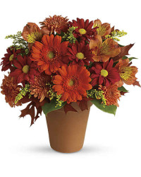 Orange | Mixed Bouquets | Golden Glow | Same Day Flower Delivery by Teleflora