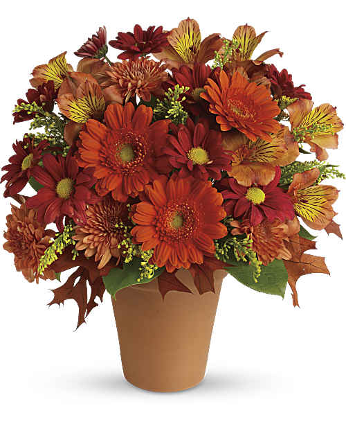 Orange | Mixed Bouquets | Golden Glow | Same Day Flower Delivery by Teleflora