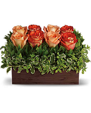 Orange | Roses | Uptown Bouquet | Same Day Flower Delivery by Teleflora