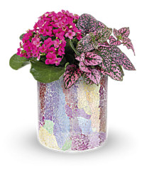 Pink | Mixed Bouquets | Blushing Duo | Same Day Flower Delivery by Teleflora