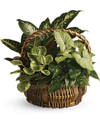 Pink | Mixed Bouquets | Emerald Garden Basket | Same Day Flower Delivery by Teleflora
