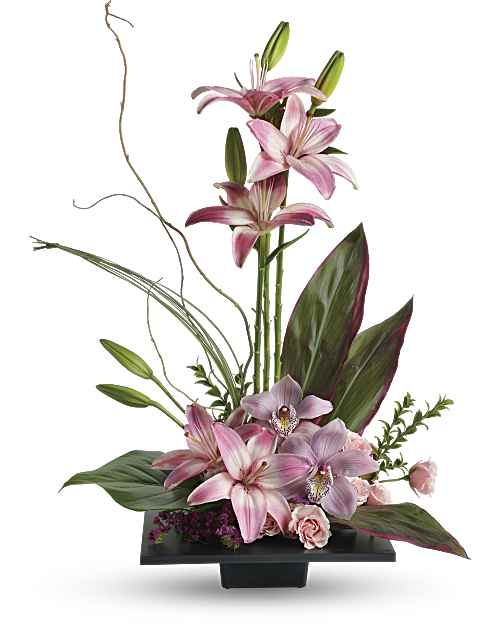 Pink | Mixed Bouquets | Imagination Blooms With Cymbidium Orchids Bouquet | Same Day Flower Delivery by Teleflora