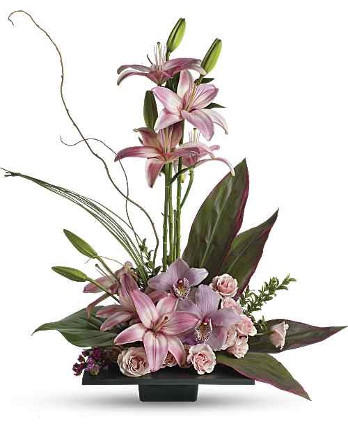 Pink | Mixed Bouquets | Imagination Blooms With Cymbidium Orchids Bouquet | Same Day Flower Delivery by Teleflora