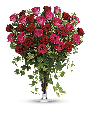Pink | Roses | Dreaming In Pink | Same Day Flower Delivery by Teleflora