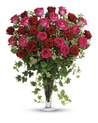 Pink | Roses | Dreaming In Pink | Same Day Flower Delivery by Teleflora