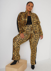 Plus Size Animal Zip Detailed Track Pants, Multi, 26/28 - Ashley Stewart