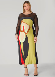 Plus Size Mesh Paneled Floral Midaxi Dress, Multi, 22/24 - Ashley Stewart