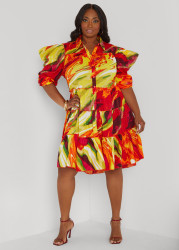Plus Size Ruffled Brushstroke Shirtdress, Multi, 18/20 - Ashley Stewart