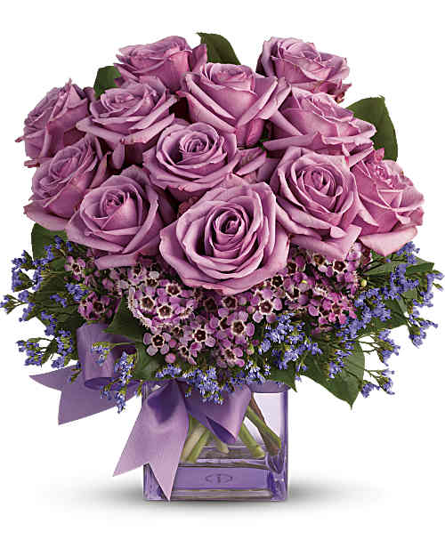Purple | Roses | Morning Melody | Same Day Flower Delivery by Teleflora