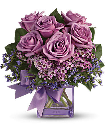 Purple | Roses | Morning Melody | Same Day Flower Delivery by Teleflora