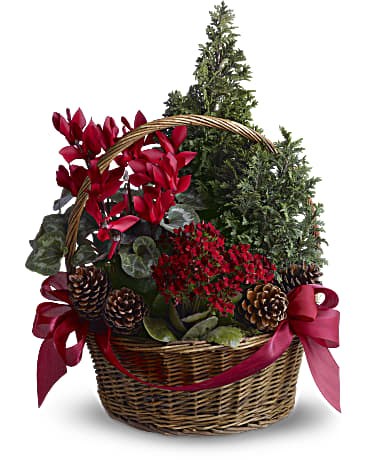 Red | Mixed Bouquets | Tannenbaum Basket | Same Day Flower Delivery by Teleflora