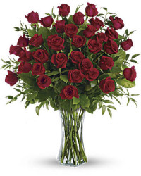 Red | Roses | Breathtaking Beauty | Same Day Flower Delivery by Teleflora