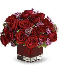 Red | Roses | Never Let Go | Same Day Flower Delivery by Teleflora