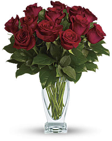 Red | Roses | Rose Classique | Same Day Flower Delivery by Teleflora