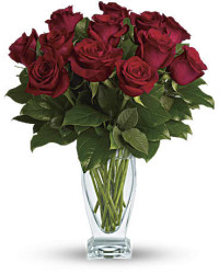 Red | Roses | Rose Classique | Same Day Flower Delivery by Teleflora
