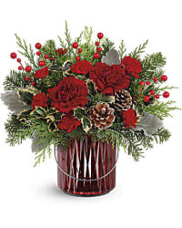Red | Carnations | Merry Glow Bouquet | Same Day Flower Delivery by Teleflora