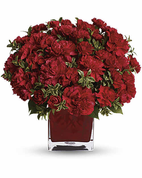 Red | Carnations | Precious Love Bouquet | Same Day Flower Delivery by Teleflora