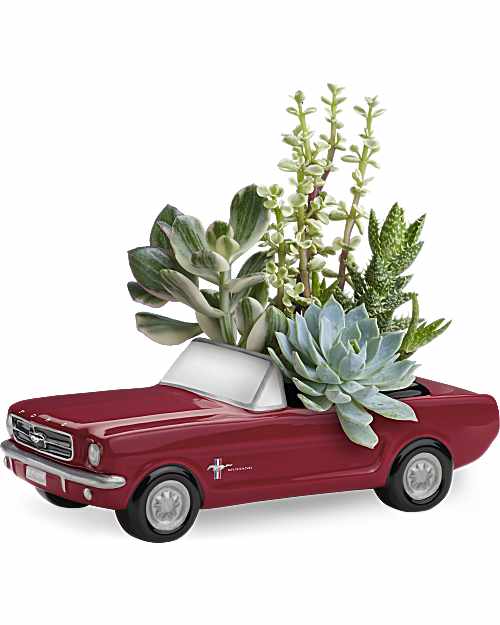 Red | Mixed Bouquets | Dream Wheels '65 Ford Mustang | Same Day Flower Delivery by Teleflora