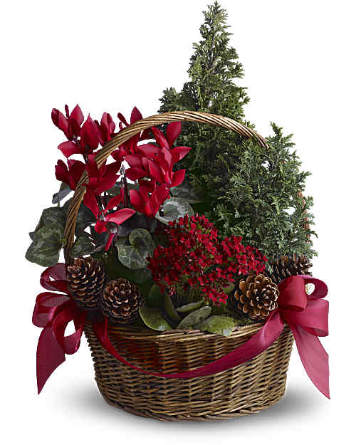 Red | Mixed Bouquets | Tannenbaum Basket | Same Day Flower Delivery by Teleflora