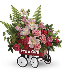 Red | Mixed Bouquets | Welcome Beautiful Bouquet | Same Day Flower Delivery by Teleflora