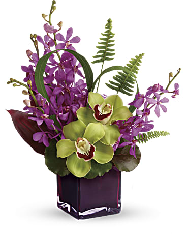 Red | Orchids | Island Princess | Same Day Flower Delivery by Teleflora