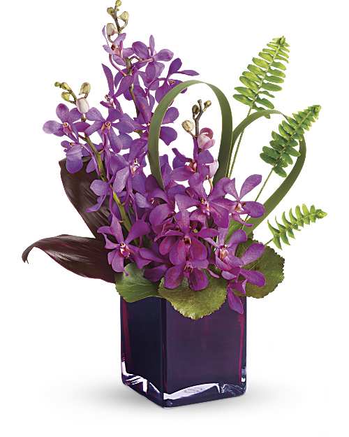 Red | Orchids | Island Princess | Same Day Flower Delivery by Teleflora
