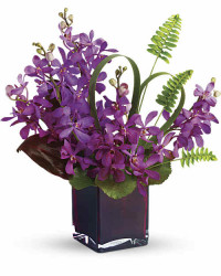 Red | Orchids | Island Princess | Same Day Flower Delivery by Teleflora