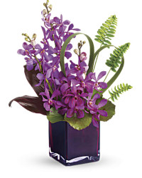 Red | Orchids | Island Princess | Same Day Flower Delivery by Teleflora