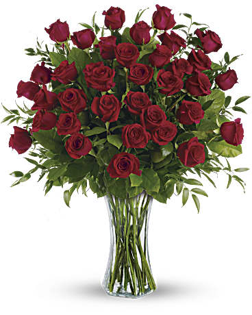 Red | Roses | Breathtaking Beauty | Same Day Flower Delivery by Teleflora