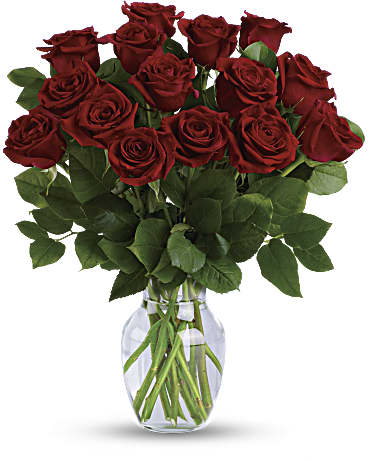 Red | Roses | Classic Romance Bouquet | Same Day Flower Delivery by Teleflora