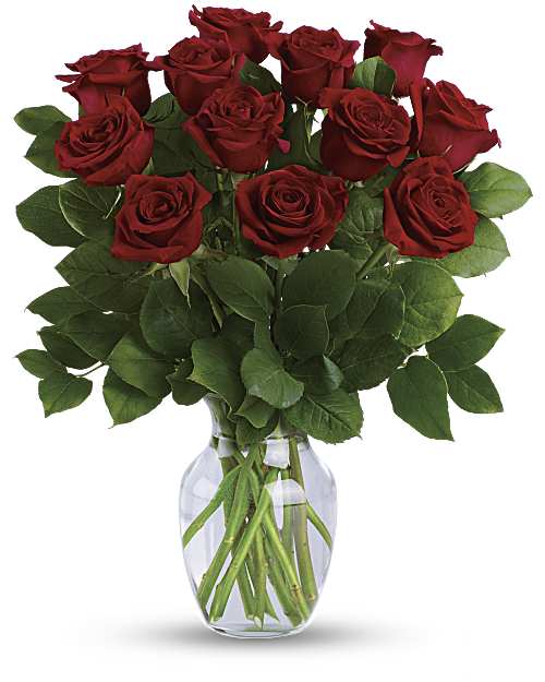 Red | Roses | Classic Romance Bouquet | Same Day Flower Delivery by Teleflora