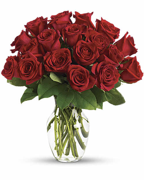 Red | Roses | Enduring Passion Bouquet | Same Day Flower Delivery by Teleflora