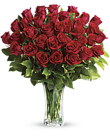 Red | Roses | Love And Devotion | Same Day Flower Delivery by Teleflora