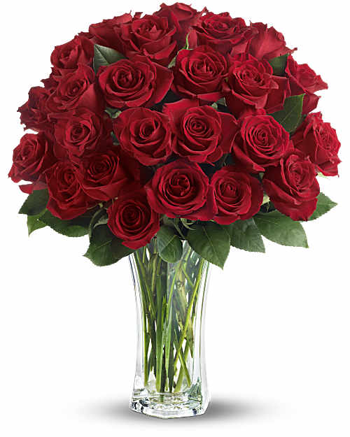 Red | Roses | Love And Devotion | Same Day Flower Delivery by Teleflora